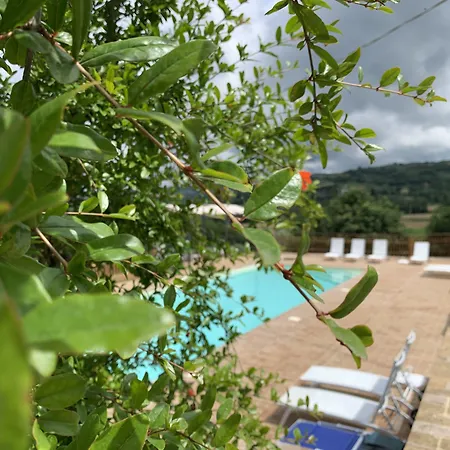 公寓 Agriturismo-la-palazzetta-di-assisi Sterpeto